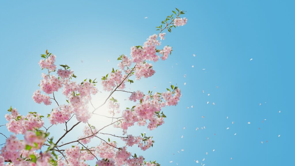 ももスキンケアクリニック